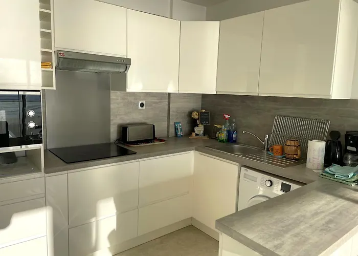 דירה Magnifique Vue Mer, 2 Pour 5 Pers, Proche Avenue De La - Fr-1-323-311